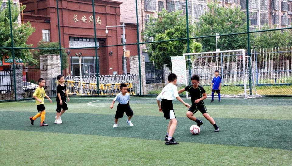 DOGoU, com DOGoU, com