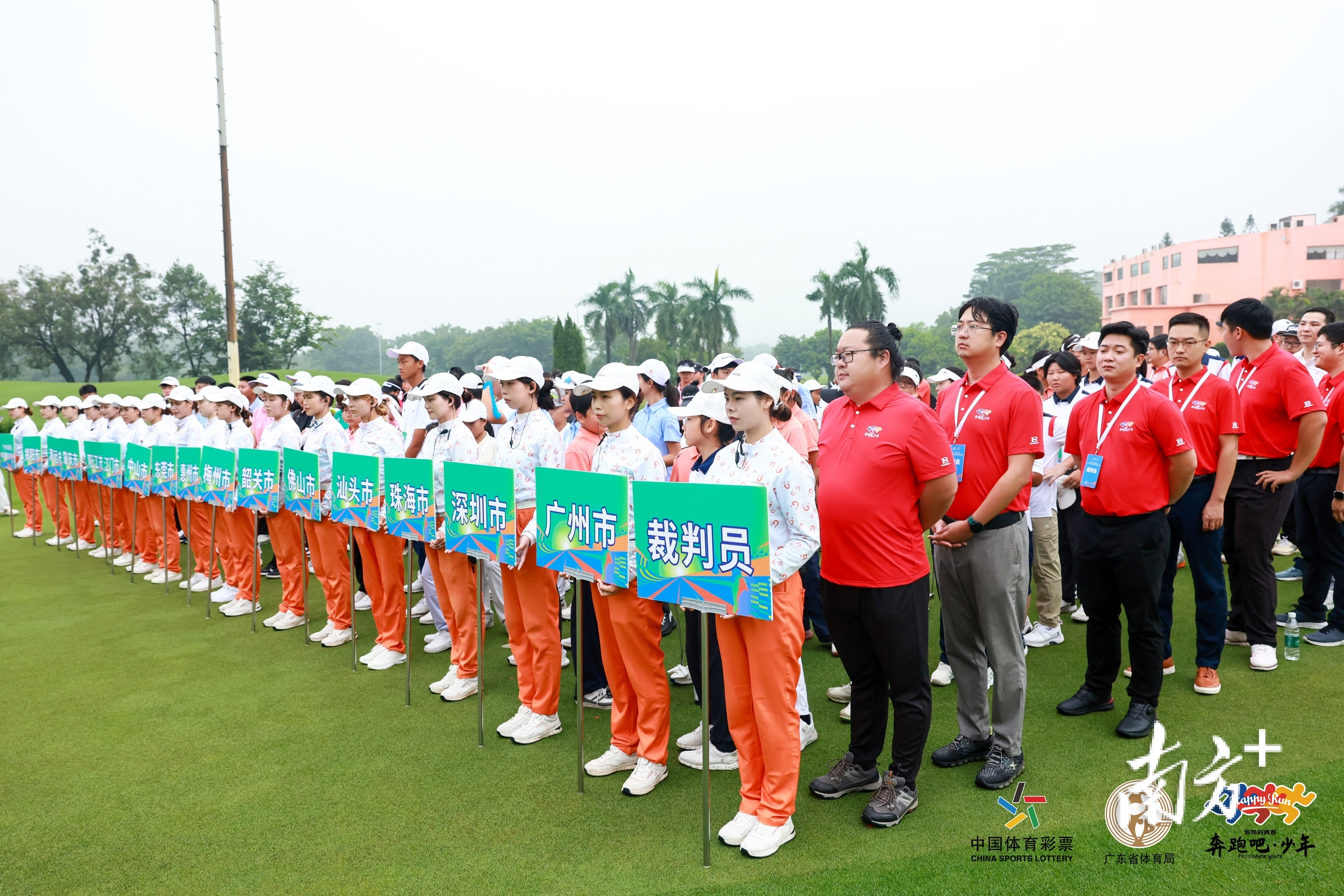 猫咪元素无, msn 猫咪元素无, msn