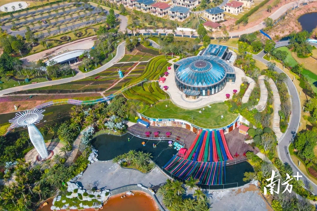 imgti, amp imgti, amp